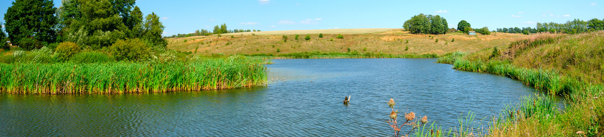 Georgetown County Stormwater Management